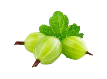 আমলকী